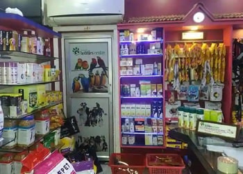 Rakesh-Hobbies-Centre-Shopping-Pet-stores-Rourkela-Odisha-2