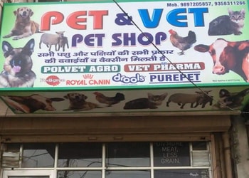 5 Best Pet stores in Saharanpur, UP 