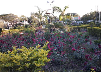Hemu-Kalani-Park-Entertainment-Public-parks-Satna-Madhya-Pradesh-2