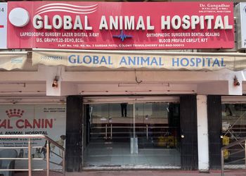 Global-Animal-Hospital-Health-Veterinary-hospitals-Secunderabad-Telangana