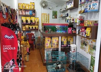 New-Unique-Pets-Shopping-Pet-stores-Silchar-Assam-2