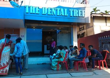 The-Dental-Tree-Health-Dental-clinics-Orthodontist-Silchar-Assam
