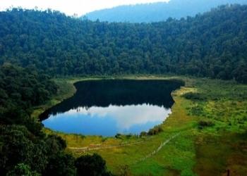 Gupta-Travel-Agency-Local-Businesses-Travel-agents-Siliguri-West-Bengal-1