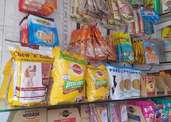 Choice-Shopping-Pet-stores-Solapur-Maharashtra-2