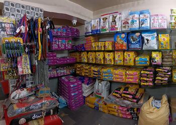 PET-HOUSE-Shopping-Pet-stores-Solapur-Maharashtra-1