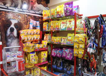 Pets-Gallery-Shopping-Pet-stores-Solapur-Maharashtra-2