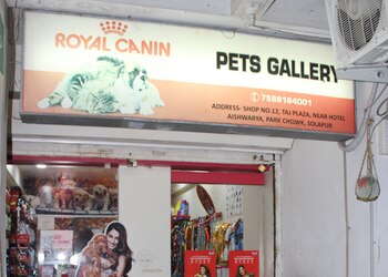 Pets-Gallery-Shopping-Pet-stores-Solapur-Maharashtra