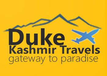 Duke-Kashmir-Travels-Local-Businesses-Travel-agents-Srinagar-Jammu-and-Kashmir