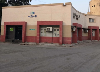 Nandini-Veterinary-Hospital-Health-Veterinary-hospitals-Surat-Gujarat