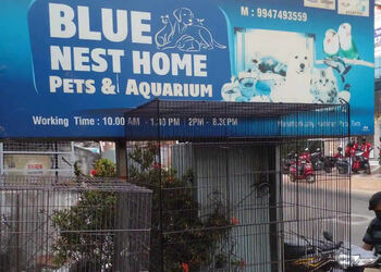 Blue-Nest-Home-Shopping-Pet-stores-Thiruvananthapuram-Kerala