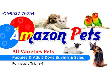 Amazon-Pet-Spot-Shopping-Pet-stores-Tiruchirappalli-Tamil-Nadu