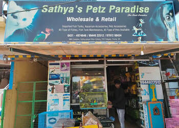 Sathya-s-Petz-Paradise-Shopping-Pet-stores-Tiruchirappalli-Tamil-Nadu
