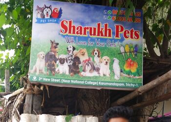 Sharukh-Pets-Shop-Shopping-Pet-stores-Tiruchirappalli-Tamil-Nadu