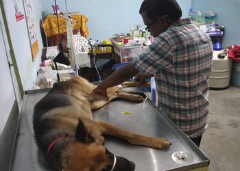 Sabari-pet-clinic-Health-Veterinary-hospitals-Tirunelveli-Tamil-Nadu-2