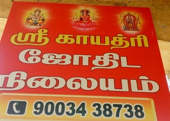 Sree-Gayathri-Jothida-Nilayam-Professional-Services-Astrologers-Tirunelveli-Tamil-Nadu