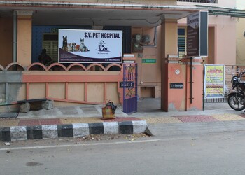S-V-Pet-Hospital-Health-Veterinary-hospitals-Tirupati-Andhra-Pradesh