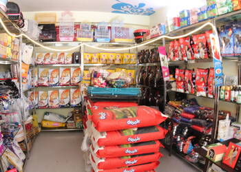 Royal-Raj-Pets-Kingdom-Shopping-Pet-stores-Udaipur-Rajasthan-1