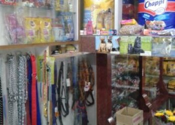 Quality-Pets-Shop-Shopping-Pet-stores-Ujjain-Madhya-Pradesh-1