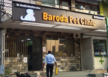 5 Best Veterinary hospitals in Vadodara, GJ 