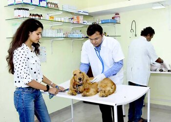 UNIVERSE-PET-CLINIC-Health-Veterinary-hospitals-Vadodara-Gujarat-1