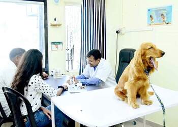 UNIVERSE-PET-CLINIC-Health-Veterinary-hospitals-Vadodara-Gujarat