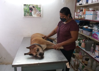 Vet-Clinic-Health-Veterinary-hospitals-Vadodara-Gujarat-1