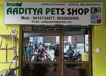 Aaditya-Pets-Shopping-Pet-stores-Varanasi-Uttar-Pradesh