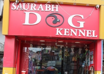 Saurabh-Dog-Kennel-Shopping-Pet-stores-Varanasi-Uttar-Pradesh