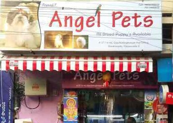 ANGEL-PETS-Shopping-Pet-stores-Vijayawada-Andhra-Pradesh