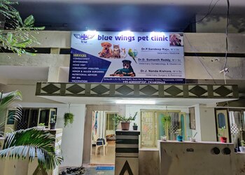 Bluewings-petclinic-Health-Veterinary-hospitals-Vijayawada-Andhra-Pradesh