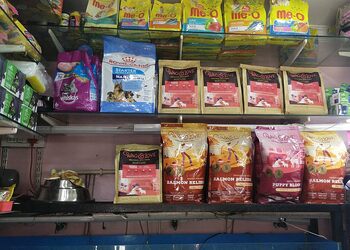 GOLDEN-PETS-Shopping-Pet-stores-Vijayawada-Andhra-Pradesh-1