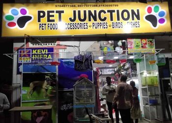 Pet-Junction-Shopping-Pet-stores-Vijayawada-Andhra-Pradesh
