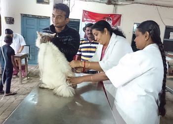 Hitech-Pet-Dog-Clinic-Health-Veterinary-hospitals-Warangal-Telangana-1