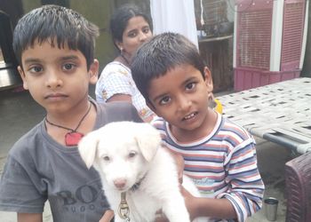 Hitech-Pet-Dog-Clinic-Health-Veterinary-hospitals-Warangal-Telangana-2