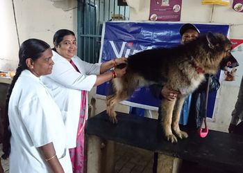 Hitech-Pet-Dog-Clinic-Health-Veterinary-hospitals-Warangal-Telangana