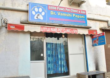 Little-Paws-Pet-Clinic-Spa-Health-Veterinary-hospitals-Warangal-Telangana