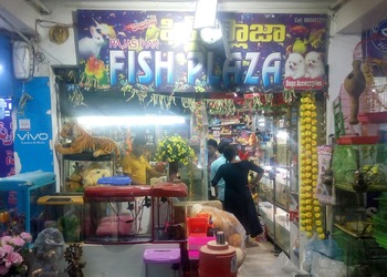 Rajasthan-Fish-Plaza-Shopping-Pet-stores-Warangal-Telangana