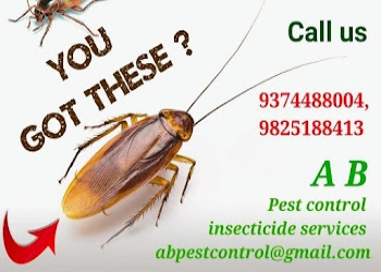 A-b-pest-control-insecticide-services-Pest-control-services-Adajan-surat-Gujarat-2