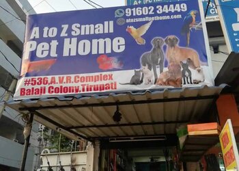 A-to-z-small-pet-home-Pet-stores-Tirupati-Andhra-pradesh-1