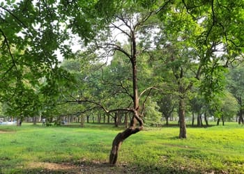 A-zone-major-park-Public-parks-Durgapur-West-bengal-2