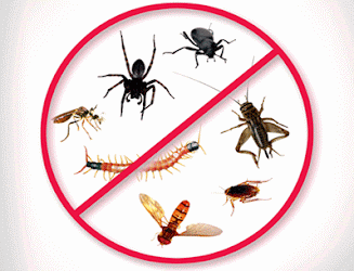 A1-pest-control-services-Pest-control-services-Indirapuram-ghaziabad-Uttar-pradesh-2