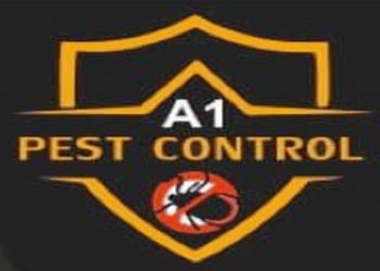 A1-pest-control-services-Pest-control-services-Vasundhara-ghaziabad-Uttar-pradesh-1