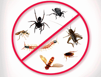 A1-pest-control-services-Pest-control-services-Vasundhara-ghaziabad-Uttar-pradesh-2