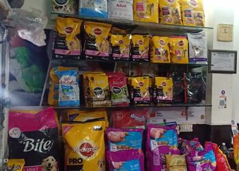 A2z-pets-mania-Pet-stores-Clement-town-dehradun-Uttarakhand-1