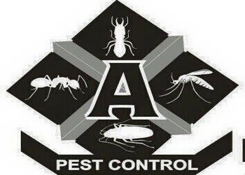 Aadhikar-pest-control-Pest-control-services-Borivali-mumbai-Maharashtra-1