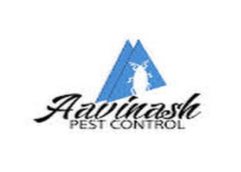 Aavinash-pest-control-Pest-control-services-Choolaimedu-chennai-Tamil-nadu-1