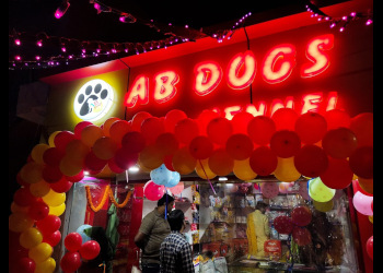 Ab-dogs-kennel-Pet-stores-Dhanbad-Jharkhand-1