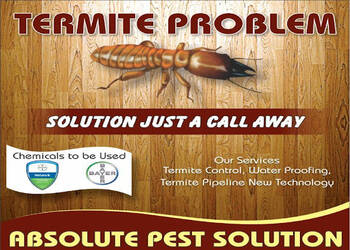 Absolute-pest-solution-Pest-control-services-Sarabha-nagar-ludhiana-Punjab-1