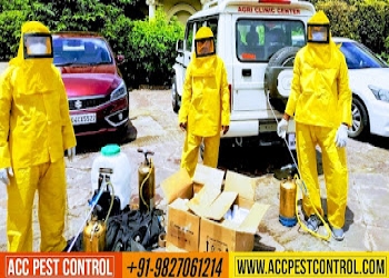 Acc-pest-control-bhopal-Pest-control-services-Mp-nagar-bhopal-Madhya-pradesh-2