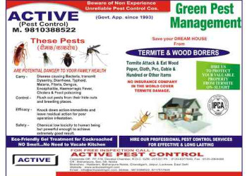 Active-pest-control-Pest-control-services-Nehru-nagar-ghaziabad-Uttar-pradesh-1